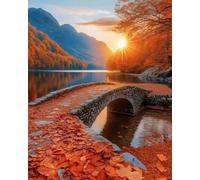 Wihgkin Kit punto croce per adulti Ponte sul lago illuminato dal sole fai da te punto croce stampa complementi arredo casa ricamo artistico ricamo (11CT tela prestampata) 40x50cm