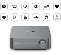 WiiM Amp PRO - Amplificatore / Streamer / DAC - PRONTA CONSEGNA