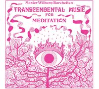 Wilburn Burchette Transcendental Music for Meditation (Vinyl LP)