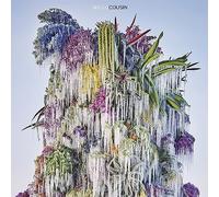 Wilco Cousin (CD) Album
