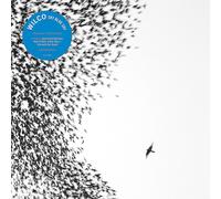 Wilco - Sky Blu Sky (Vinyl Blue)