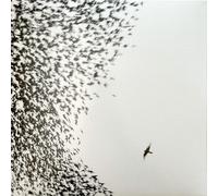 Wilco - Sky Blue Sky (2 LP)
