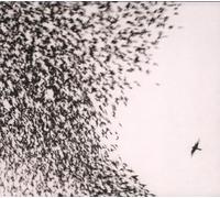 Wilco - Sky Blue Sky