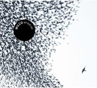 Wilco Sky Blue Sky (CD)