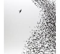 Wilco – Sky Blue Sky – Vinile 2 LP