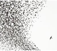 Wilco - Sky Blue Sky(Cd+Dvd)Deluxe Edt.