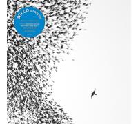Wilco - Sky Blu Sky (Vinyl Blue)