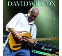 David Wilcox Boy in the Boat (CD) Album
