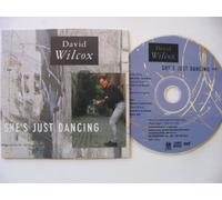 Wilcox, David - Home Again