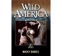 Wild America: Wacky Babies