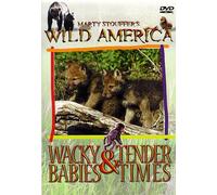 Wild America: Wacky Babies & Tender Times