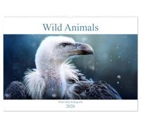 Wild Animals - Wilde Tiere (Wandkalender 2026 DIN A2 quer), CALVENDO Monatskalender: Atemberaubende Wildtiere Monat für Monat