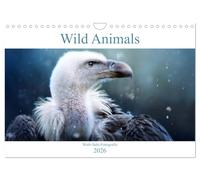 Wild Animals - Wilde Tiere (Wandkalender 2026 DIN A4 quer), CALVENDO Monatskalender: Atemberaubende Wildtiere Monat für Monat