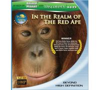 Wild Asia: In the Realm of the Red Ape