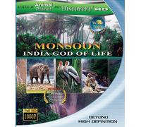 Wild Asia: Monsoon India S G
