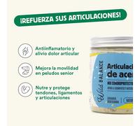 Wild Balance Integratore per la salute naturale per articolazioni e legamenti 100 gr