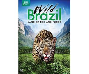 Wild Brazil: Land of Fire & Flood