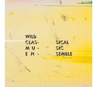 Wild Classical Music Ensemble - Tapping Is Clapping