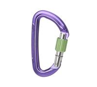 Wild Country Session Screw Gate - moschettone Purple/Green unisex
