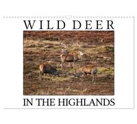Wild Deer In The Highlands (Wall Calendar 2027 DIN A3 landscape), CALVENDO 12 Mo