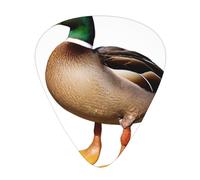 Wild Duck - Set di 12 plettri per chitarra, sottili, medi e spessi, adatti per chitarra, basso, chitarra elettrica e ukulele