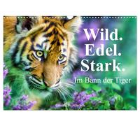 Wild.Edel.Stark. - Im Bann der Tiger (Wandkalender 2027 DIN A3 quer), CALVENDO M