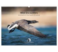 Wild encounters - Moments in the heart of nature (Wall Calendar 2026 DIN A2 landscape), CALVENDO 12 Month Wall Calendar: A captivating calendar that ... unforgettable moments in the heart of nature.