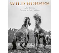 Wild Horses: Alfie Bowen