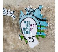 Wild Iris Brass Band - Way Up