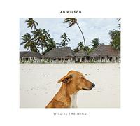 wild is the wind