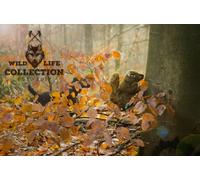 Wild Life Collection Giocattoli di Peluche per Cani Scoiattolo di Cane Selvatico