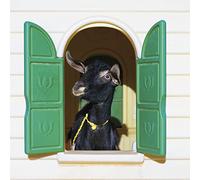 Superchunk – Wild Loneliness – Vinile LP 12" (Peak Vinyl)