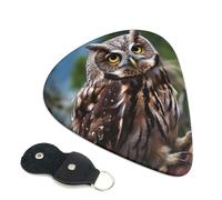 Wild Owl Birds - Confezione da 6 plettri per chitarra con supporto, plettri per chitarra personalizzati, antiscivolo, portatili, ukulele, basso, 0,96 mm, per amanti della chitarra acustica, regali