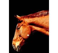 Wild Pages Press Horses (Tascabile)