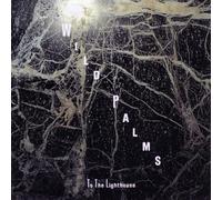 Wild Palms - To The Light House