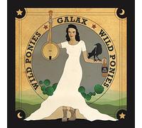 Wild Ponies - Galax
