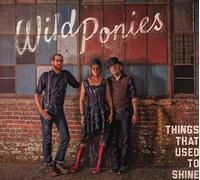 Wild Ponies - Things That Used To Shine
