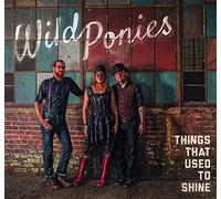 WILD PONIES - Things That Used to Shine