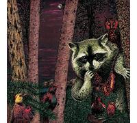 Wild Raccoon - Half Pine Cone