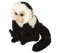 Wild Republic- Cuddlekins Mini Capuchino Animale, Colore Cappuccina, 8 Inches, 12274