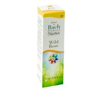 BACHFLOWERS 37 Wild Rose 10ml