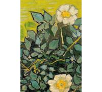 Wild Roses - Vincent van Gogh - Hardcover Notebook: 120 Lined Pages 6" x 9" Journal Diary Notepad