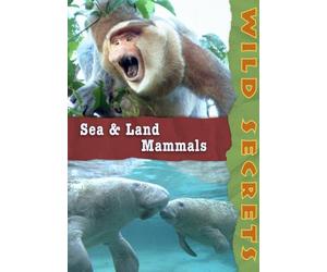 Wild Secrets: Sea and Land Mammals (Home Use)