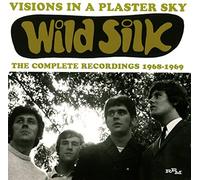 Wild Silk - Visions In A Plaster Sky: The Complete R