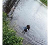 WILD UP - JULIUS EASTMAN VOL. 4: THE HOLY PRESENCE