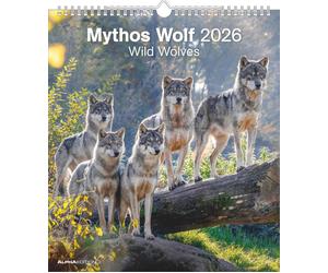 Wild wolves calendario 2026 30x34 cm - AA.VV.