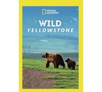 Wild Yellowstone (DVD)
