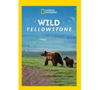Wild Yellowstone (DVD)