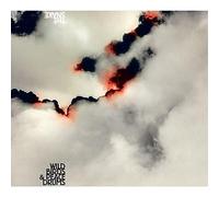 Wildbirds & Peacedru - The Leaf Label The Snake