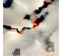 WILDBIRDS & PEACEDRUMS - SNAKE -DIGI-